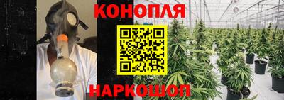 стаф Партизанск